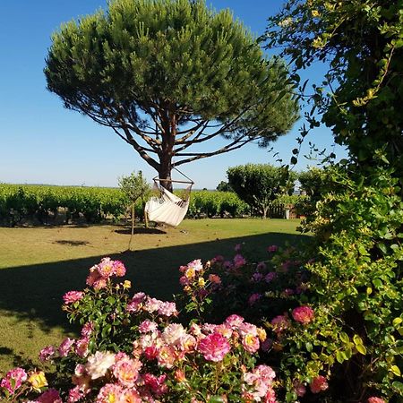 Bed and Breakfast Entre Loire Et Vignobles Liré Exterior foto