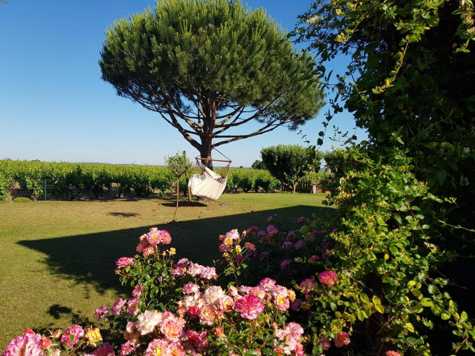 Bed and Breakfast Entre Loire Et Vignobles Liré Exterior foto